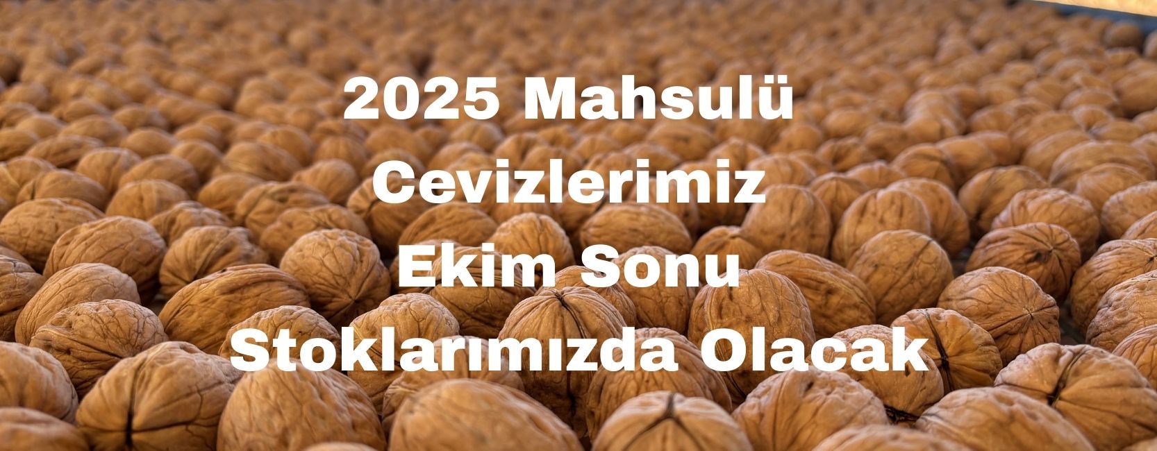 Oran Tarım