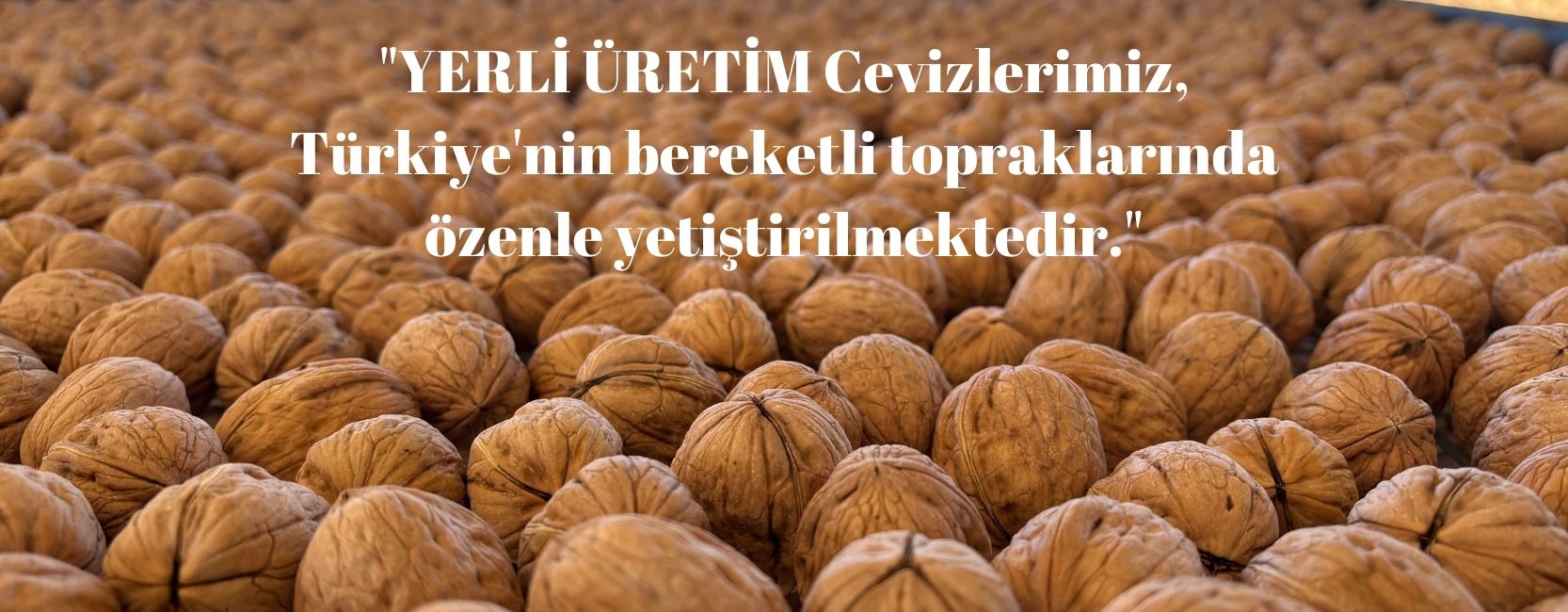 Oran Tarım