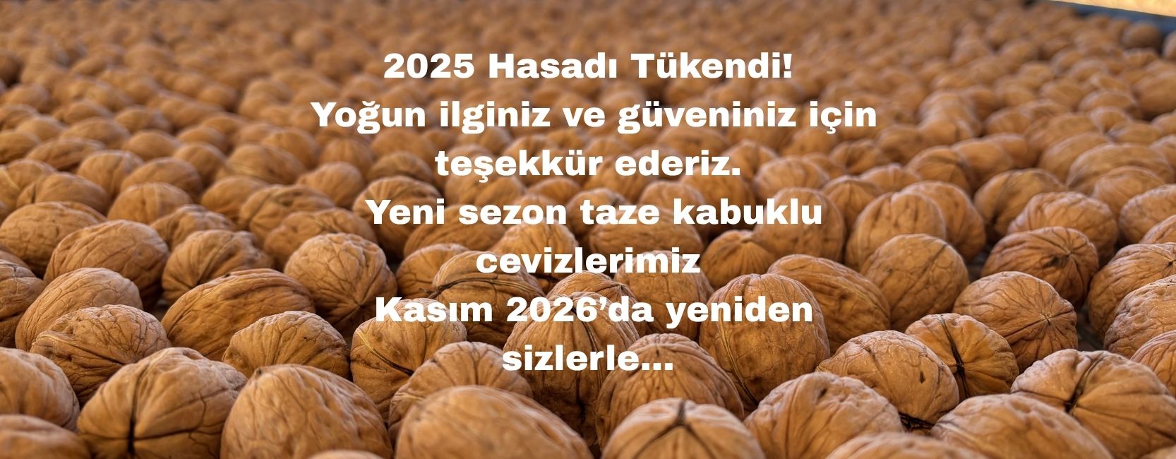 Ceviz